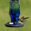 Perky-Pet Perky-Pet Hummingbird 16 oz Glass Nectar Feeder 4 ports 8129-2